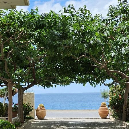 Psari Forada Eirini Apts On The Beach מראה חיצוני תמונה