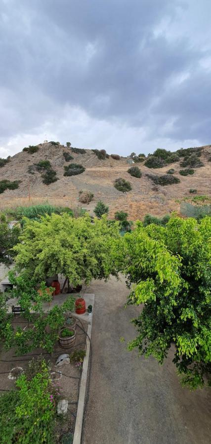 Psari Forada Eirini Apts On The Beach מראה חיצוני תמונה